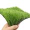 55mm Chemiefasergewebe-Fußball-künstliches Gras PET Material