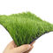 Synthetischer künstlicher Fußball bedecken UV-Beständigkeit 5/8inch 50mm langlebigen Gutes mit Gras