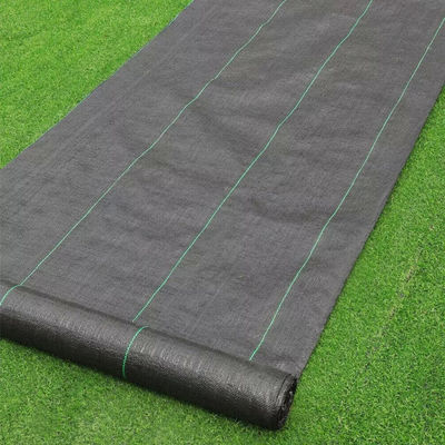 Schwarze künstliche Gras-Zusätze