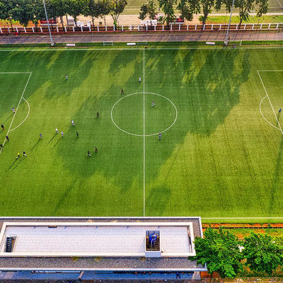 50mm PET Schulkünstlicher Fußball-im Freien synthetisches Gras