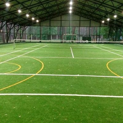 Minifußballplatzfußballrasen für feuerbeständigen künstlichen Rasen des futsal Innengerichtes für Feldfußball