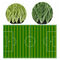 synthetisches Gras des Berufsfußballplatzes für künstlichen Rasen des Fußballfußballs