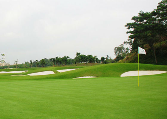 Golf-im Freien grüner Rasen-Styrol-Butadien-Latex ODM-Soems 10mm